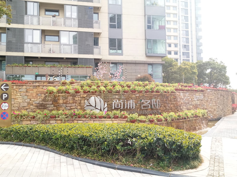 1492419029959683.jpg 1.jpg