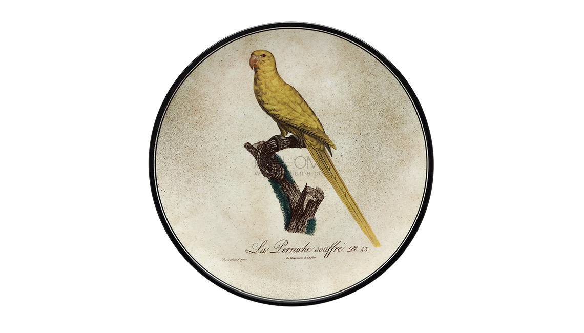 PIATTO DA MURO11盤(pán)子