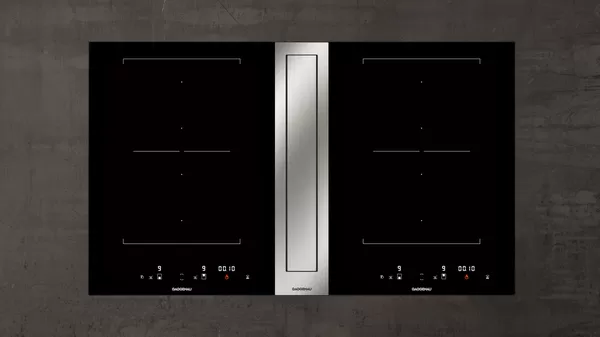 gaggenau400系列 電磁灶燃?xì)庠?>
						<div   id=