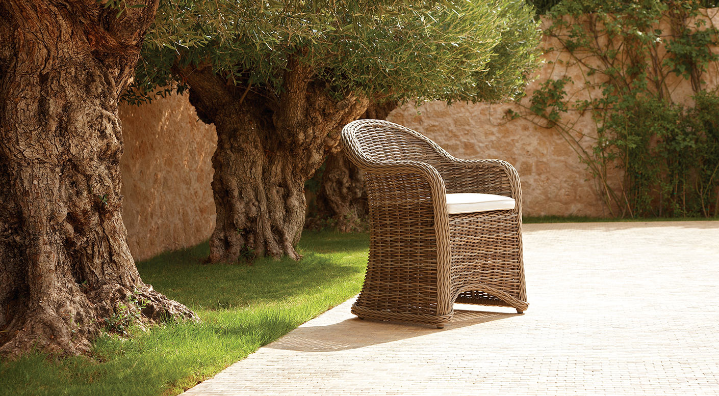 Havana-Dining Chair With Arms 餐椅